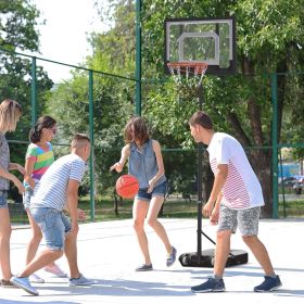 Portable Basketball Hoop System Stand with Backboard (Option: Black-870x610x180 mm)
